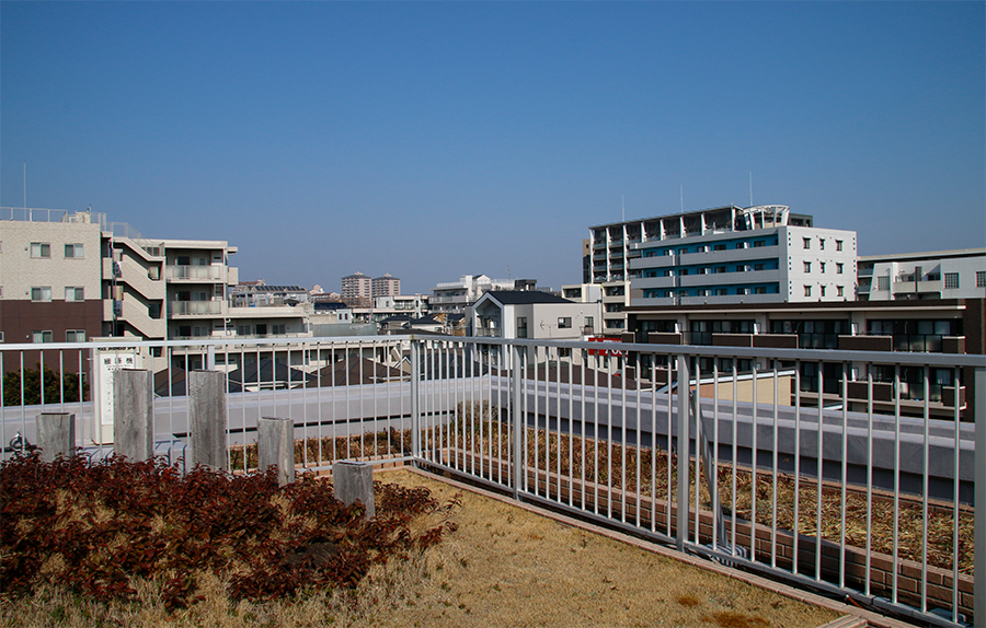 本社屋上風景