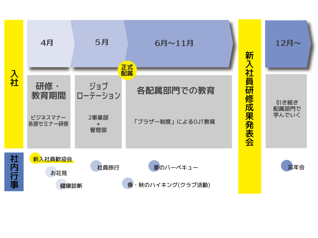 社員教育スケジュールイメージ