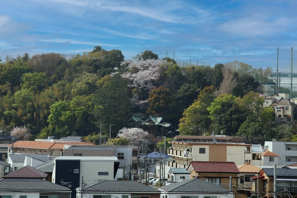 周辺風景　慶応大学日吉キャンパス方面